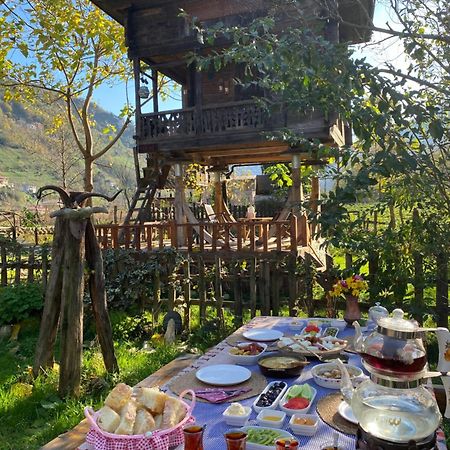 الشقق الفندقية ريزهفي  Zeni De Vore Serender & House المظهر الخارجي الصورة